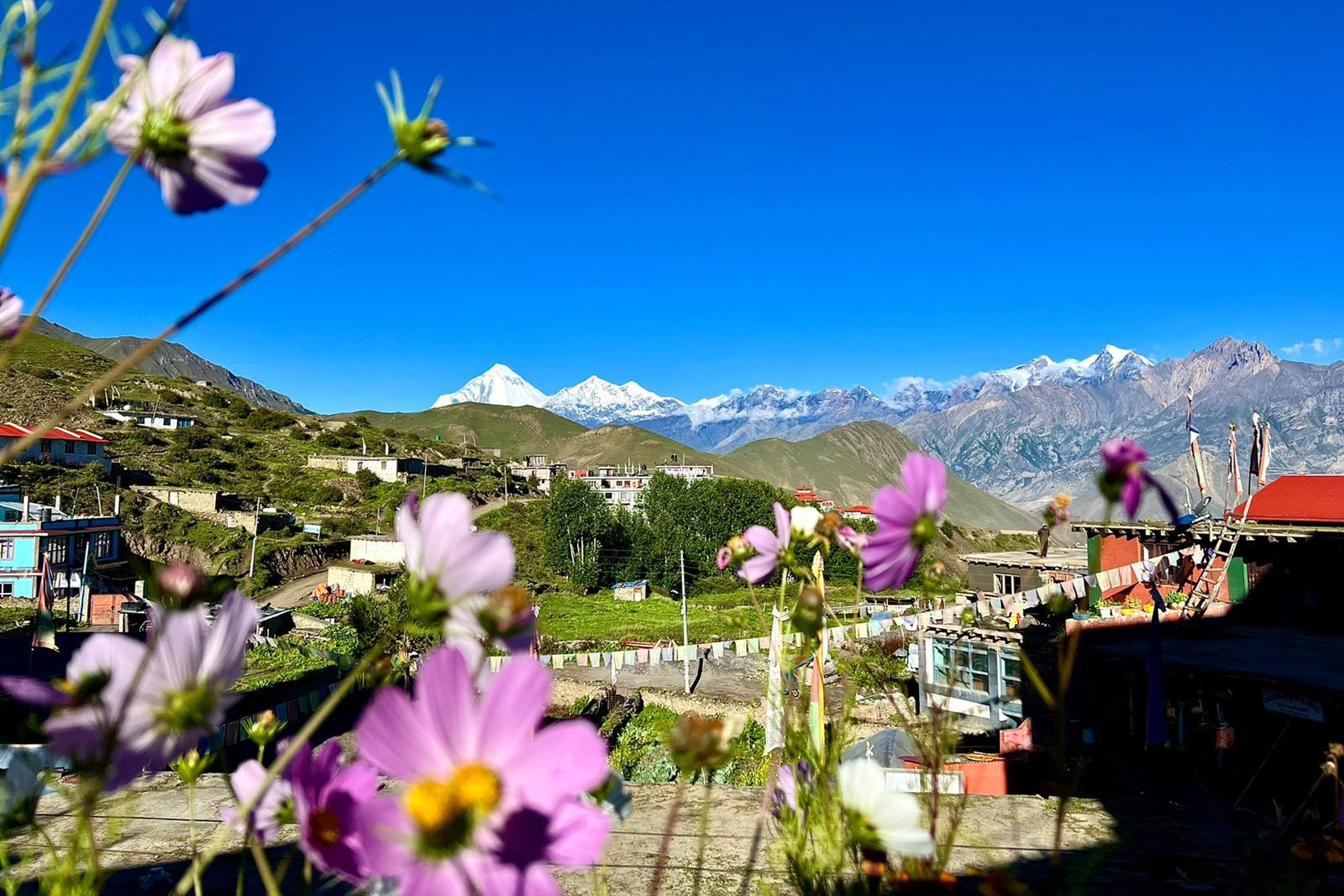 Annapurna Base Camp Short Trek