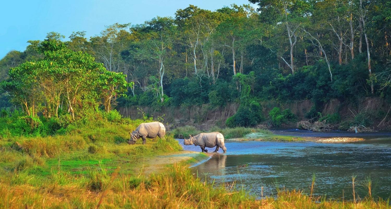 Chitwan National Park Tour