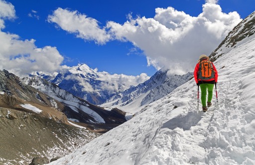 Chulu East Peak Climbing