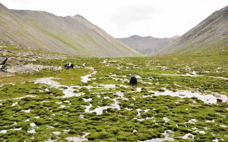 Ganden Samye Trek