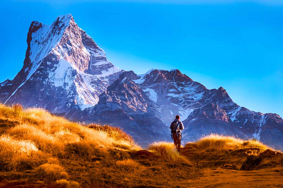 Mardi Himal Trek -10 days