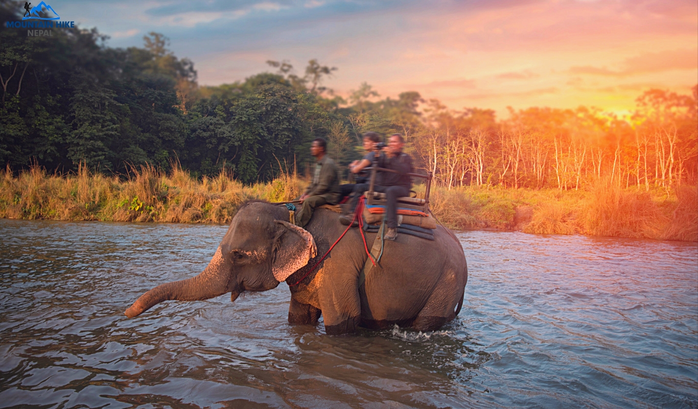 Chitwan Pokhara Tour